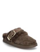 Cozy Up Steve Madden Brown