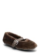 Toasty Steve Madden Brown