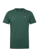 Icon Crew Knit T Shirt Hollister Green