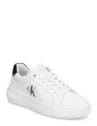Chunky Cupsole Mono Lth Wn Calvin Klein White
