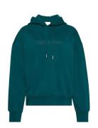 A- Logo Emb French Terry Po Hood Calvin Klein Green