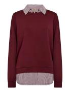 Sc-Banu Soyaconcept Red