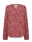 Sc-Van Soyaconcept Red