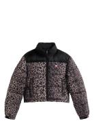 Tjw Cropped Leopard Puffer Tommy Jeans Black