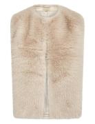 Sc-Naida Soyaconcept Cream