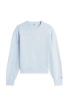 Script Reg Pique Swtshrt Tommy Hilfiger Blue