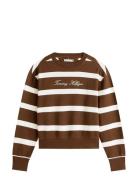 Script Reg Pique Swtshrt Tommy Hilfiger Brown