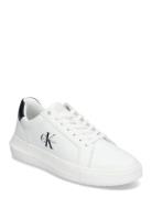Chunky Cupsole Mono Lth Calvin Klein White