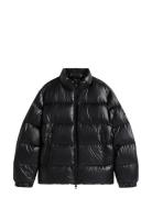 Shiny Down Stand Puffer Tommy Hilfiger Black