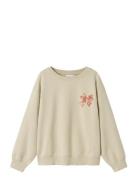 Nkfrasab Ls Nreg Sweat Bru Box Name It Beige