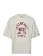 Ss Tee Champion Grey