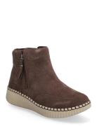 Women Wilshire Blvd Skechers Brown