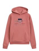 Archive Shield Hoodie GANT Patterned