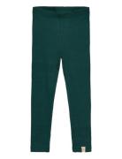 Legging Modal Petit Piao Green