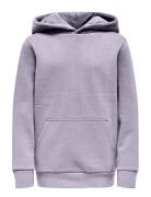 Osjceres Hoodie Swt Noos ONLY & SONS Purple