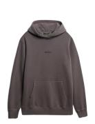 Micro Logo Hood Superdry Grey