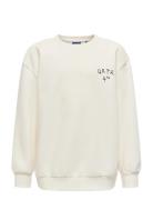 Osjkyrie Over Ls Swt Noos ONLY & SONS Cream