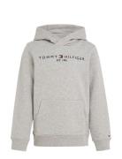 Essential Hoodie Tommy Hilfiger Grey