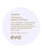 Evo cassius styling clay 90 g