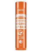 Dr. Bronner's Organic Lip Balm Orange-Ginger 4 g