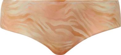 Women's Asrin Bikini Briefs Zebra Fade