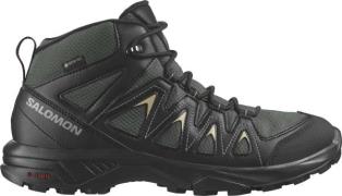 Salomon Men's X Braze Mid GORE-TEX Urban Chic/Black/Slate Green