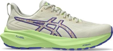Asics Men's Gt-2000 13 Tr Nature Bathing/lime Green