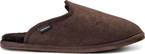 Shepherd of Sweden Terry Moro