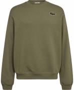 Lacoste Sweatshirt Mand Khaki Sweatshirts Str L - Bomuld hos Magasin