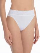 Calida Classic Lycraspitze Jazzpant Briefs Str L - hos Magasin