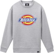 Dickies Icon Logo Sweatshirt Grey Melange Mand Gym Sweatshirts Str L -...