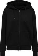 ONLY Onlnaomi L/S ZIP Hood SWT Kvinde Black Sweaters Regular Fit Str L...