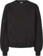 Carite Round Neck Sweatshirt L - Hættetrøjer & Sweatshirts Bomuld hos ...