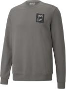 Puma Pivot Special Sweatshirt Mand Grey Sweatshirts Str L - Bomuld hos...