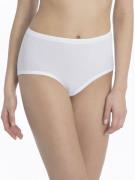 Calida Classic Cotton 2:2 Midi Breif Briefs Str 40 - hos Magasin