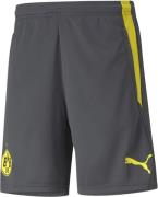 Puma Dortmund Træningsshorts S - Træningsshorts hos Magasin