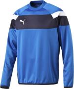 Puma Spirit II Training Sweatshirt L - Sweatshirts hos Magasin