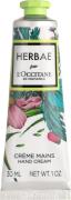 L'Occitane Herbae Hand Cream 30ml 30 ml - Håndcreme hos Magasin