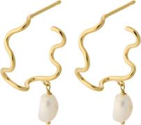 Pernille Corydon Jewellery Small Bay Earrings - Creoler hos Magasin