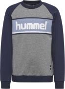 Hummel Liam Sweatshirt 116 - Sweatshirts & Hættetrøjer Bomuld hos Maga...