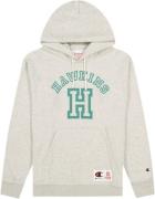 Champion Hooded Sweatshirt Mand Lngym Hoodies Str L - Bomuld hos Magas...