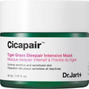 Dr Jart+ Cicapair Mini Tiger Grass Sleepair Intensive Mask 30 ml - Ans...