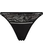 Calvin Klein Thong G-strenge Str L - hos Magasin