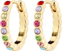 Pilgrim Kleopratra Hoop Earrings Goldplated one size - Creoler hos Mag...