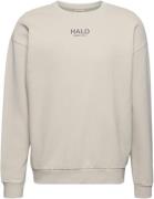 Newline HALO Halo Graphic Crew 02 Mand Silver Lining Sweatshirts Str X...