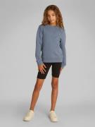 Calvin Klein Mono Mini Badge REG CN Str 8 - Grisaille Sweatshirts hos ...