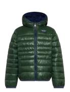 Levi's® Sherpa Lined Puffer Jacket Foret Jakke Green Levi's