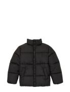 Puffer Winter Jacket Foret Jakke Black Tom Tailor