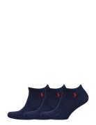 Low-Cut Cotton Sock 3-Pack Ankelstrømper Korte Strømper Blue Polo Ralp...