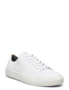 Less Leather Shoe Low-top Sneakers White Sneaky Steve